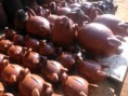 /album/fotogaleria-inicio/dsc-0529-jpg1/